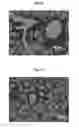 Fig. 04 - Substituted 1-pyrrolidinyloxy, 1-piperidinyloxy and 1-azepanyloxy compounds for treating diseases associated with oxidative stress or endothelial dysfunction