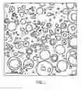 Fig. 02 - Nanoparticulate and macroparticulate formulations
