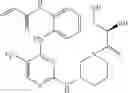 Fig. 485 - ERK inhibitors and uses thereof