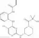 Fig. 569 - ERK inhibitors and uses thereof