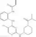 Fig. 571 - ERK inhibitors and uses thereof