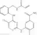 Fig. 623 - ERK inhibitors and uses thereof