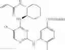 Fig. 624 - ERK inhibitors and uses thereof