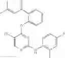 Fig. 656 - ERK inhibitors and uses thereof