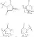 Fig. 80 - ERK inhibitors and uses thereof