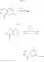 Fig. 10 - COMT inhibitors
