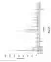 Fig. 04 - Polyamine-fatty acid derived lipidoids and uses thereof