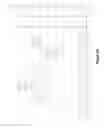 Fig. 08 - Polyamine-fatty acid derived lipidoids and uses thereof