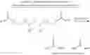 Fig. 247 - Polyamine-fatty acid derived lipidoids and uses thereof