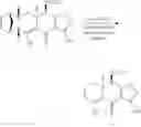 Fig. 158 - Synthesis of Tetracyclines and intermediates thereto