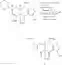 Fig. 166 - Synthesis of Tetracyclines and intermediates thereto