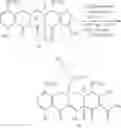 Fig. 187 - Synthesis of Tetracyclines and intermediates thereto