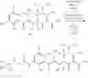 Fig. 216 - Synthesis of Tetracyclines and intermediates thereto