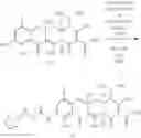 Fig. 219 - Synthesis of Tetracyclines and intermediates thereto