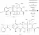 Fig. 220 - Synthesis of Tetracyclines and intermediates thereto