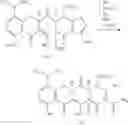 Fig. 245 - Synthesis of Tetracyclines and intermediates thereto