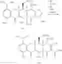 Fig. 247 - Synthesis of Tetracyclines and intermediates thereto