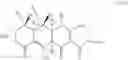 Fig. 52 - Synthesis of Tetracyclines and intermediates thereto
