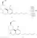 Fig. 89 - Cannabinergic nitrate esters and related analogs