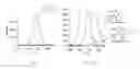 Fig. 16 - Compositions, apparatus, systems, and methods for resolving electronic excited states