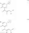 Fig. 09 - Production method of pyridazinone compounds