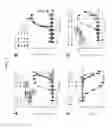 Fig. 02 - Kappa opioid receptor selective compounds, compositions, and uses thereof