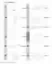 Fig. 11 - Kappa opioid receptor selective compounds, compositions, and uses thereof