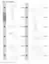 Fig. 12 - Kappa opioid receptor selective compounds, compositions, and uses thereof