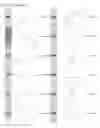 Fig. 14 - Kappa opioid receptor selective compounds, compositions, and uses thereof