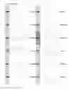 Fig. 22 - Kappa opioid receptor selective compounds, compositions, and uses thereof