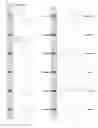 Fig. 23 - Kappa opioid receptor selective compounds, compositions, and uses thereof