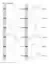 Fig. 28 - Kappa opioid receptor selective compounds, compositions, and uses thereof