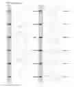 Fig. 30 - Kappa opioid receptor selective compounds, compositions, and uses thereof