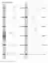 Fig. 40 - Kappa opioid receptor selective compounds, compositions, and uses thereof