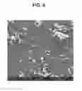 Fig. 07 - SOLID FORMS OF A SELECTIVE CDK4/6 INHIBITOR