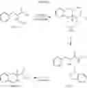 Fig. 12 - Tricyclic lactam derivatives as 11-beta hydroxysteroid dehydrogenase inhibitors