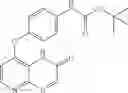 Fig. 171 - Pyrido[2,3-b]pyrazin-8-substituted compounds and their use
