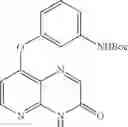 Fig. 181 - Pyrido[2,3-b]pyrazin-8-substituted compounds and their use