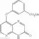Fig. 183 - Pyrido[2,3-b]pyrazin-8-substituted compounds and their use