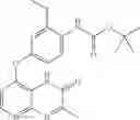 Fig. 189 - Pyrido[2,3-b]pyrazin-8-substituted compounds and their use