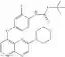 Fig. 200 - Pyrido[2,3-b]pyrazin-8-substituted compounds and their use
