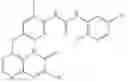 Fig. 53 - Pyrido[2,3-b]pyrazin-8-substituted compounds and their use