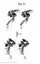 Fig. 07 - Flagellar and needle complex (injectosome) loop as anti bacterial drug target