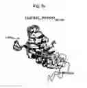 Fig. 15 - Flagellar and needle complex (injectosome) loop as anti bacterial drug target