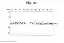 Fig. 18 - Flagellar and needle complex (injectosome) loop as anti bacterial drug target