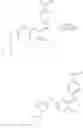 Fig. 20 - Imidazopyrimidine derivatives