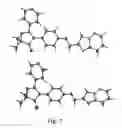 Fig. 04 - POLYMORPHS AND SALTS OF A COMPOUND