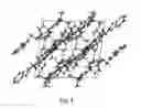 Fig. 05 - POLYMORPHS AND SALTS OF A COMPOUND