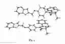 Fig. 07 - POLYMORPHS AND SALTS OF A COMPOUND