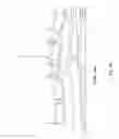 Fig. 28 - POLYMORPHS AND SALTS OF A COMPOUND